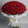 Букет 101 Красная роза Блэк Мэджик в Сяве