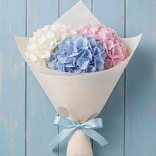 Букет цветов из:  Гортензия в Сяве